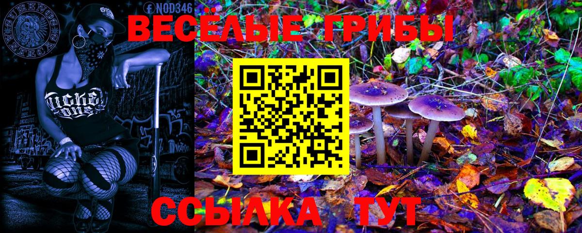 Можга  Галлюциногенные грибы GOLDEN TEACHER  Галлюциногенные грибы мухоморы  Вход с VPN 